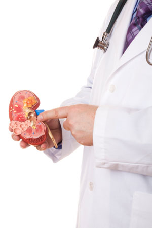 Kidney disease is treated at Kidney Hypertension Clinic